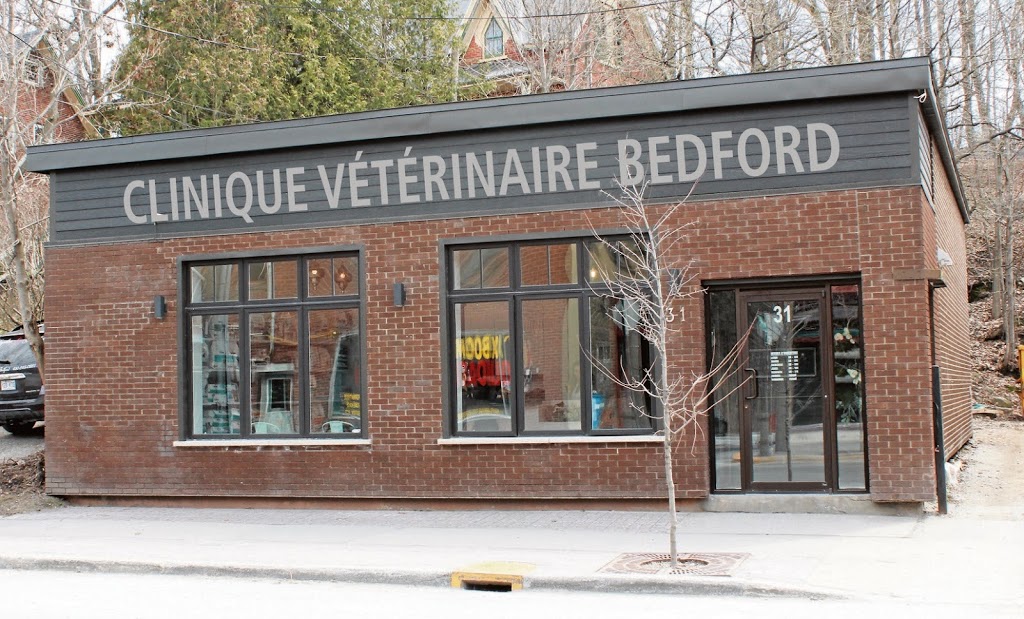 Clinique vétérinaire Bedford inc. | 31 Rue Principale, Bedford, QC J0J 1A0, Canada | Phone: (450) 248-0101