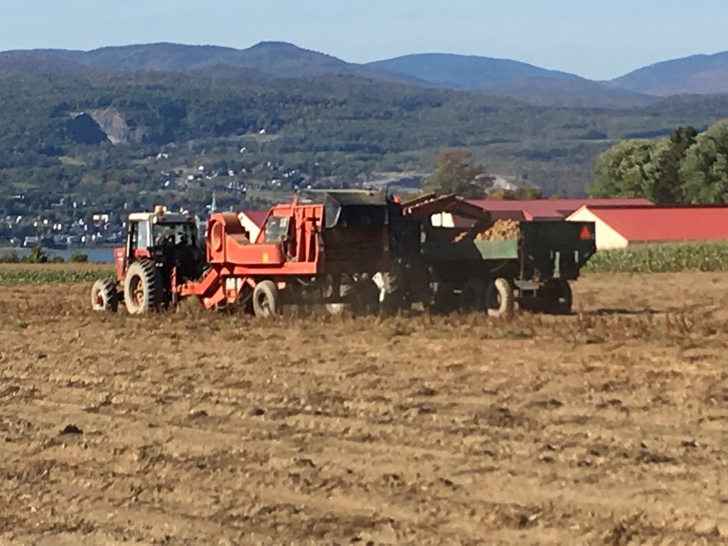 Ferme Égide Létourneau inc. | 2104 Chem. Royal, Sainte-Famille, QC G0A 3P0, Canada | Phone: (418) 829-2964