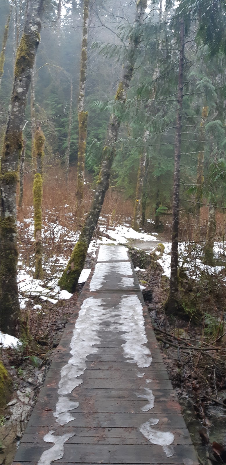 Cedar Mills Trail | Cedar Mills Trail, North Vancouver, BC V7K 3B2, Canada