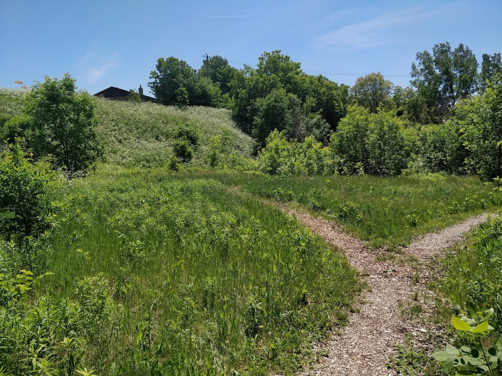 Parc du Boisé-Jean-Milot | 7084 Rue Jean-Milot, Montréal, QC H1M 3G7, Canada | Phone: (514) 872-0311