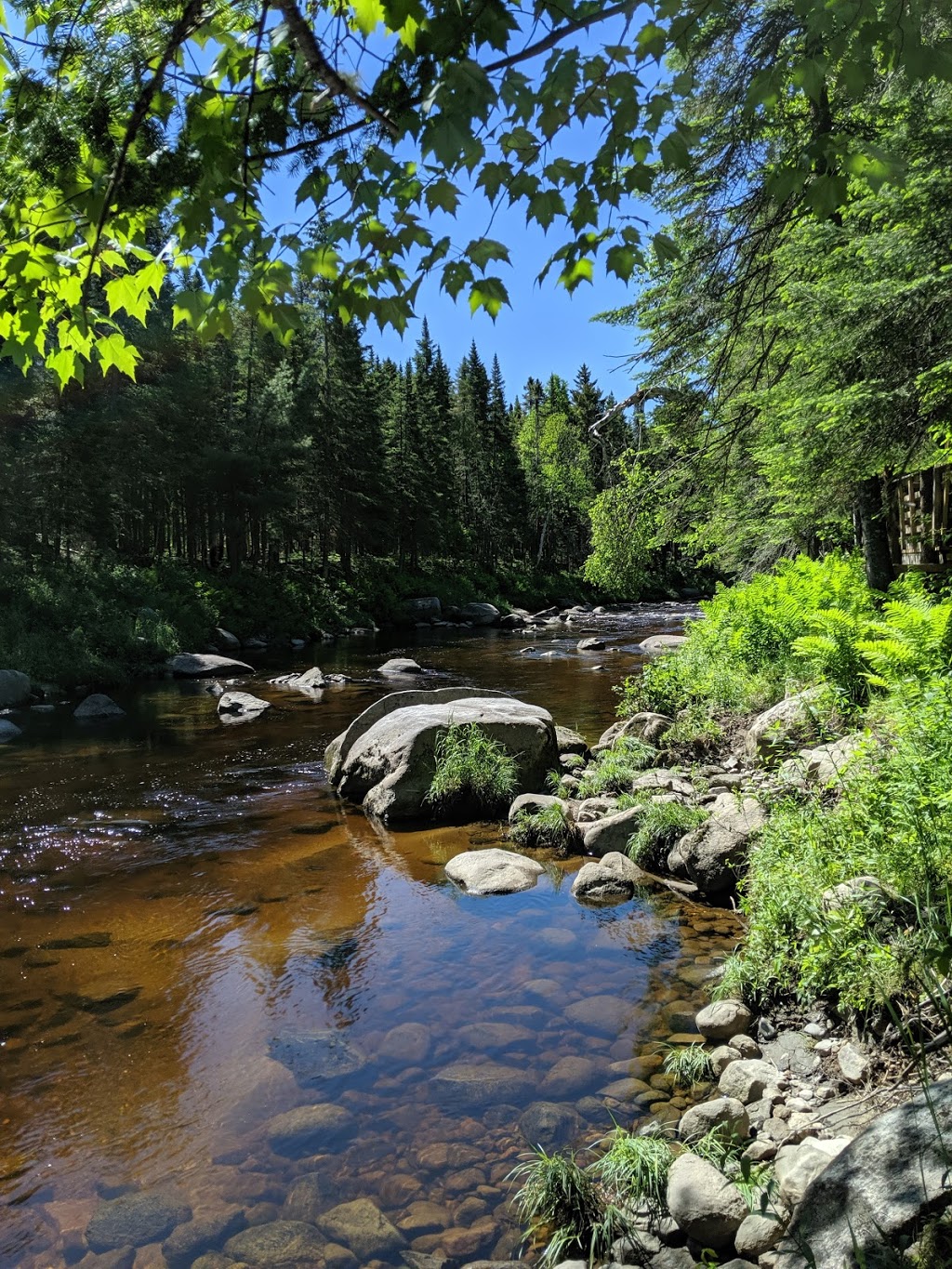 Aux Tipis de la Rivière Sauvage | 345 Route Dostie, Saint-Romain, QC G0Y 1L0, Canada | Phone: (418) 486-2100