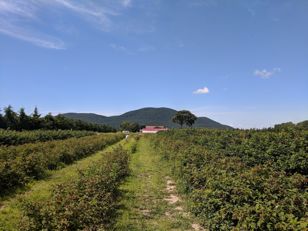 Ferme Paul Benoit | 2325 Rang de la Rivière S, Saint-Jean-Baptiste, QC J0L 2B0, Canada | Phone: (450) 464-0457