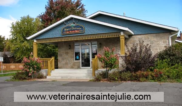 Hôpital Vétérinaire Victoria ???? | 755 Montée Sainte-Julie, Sainte-Julie, QC J3E 1W9, Canada | Phone: (450) 922-2180