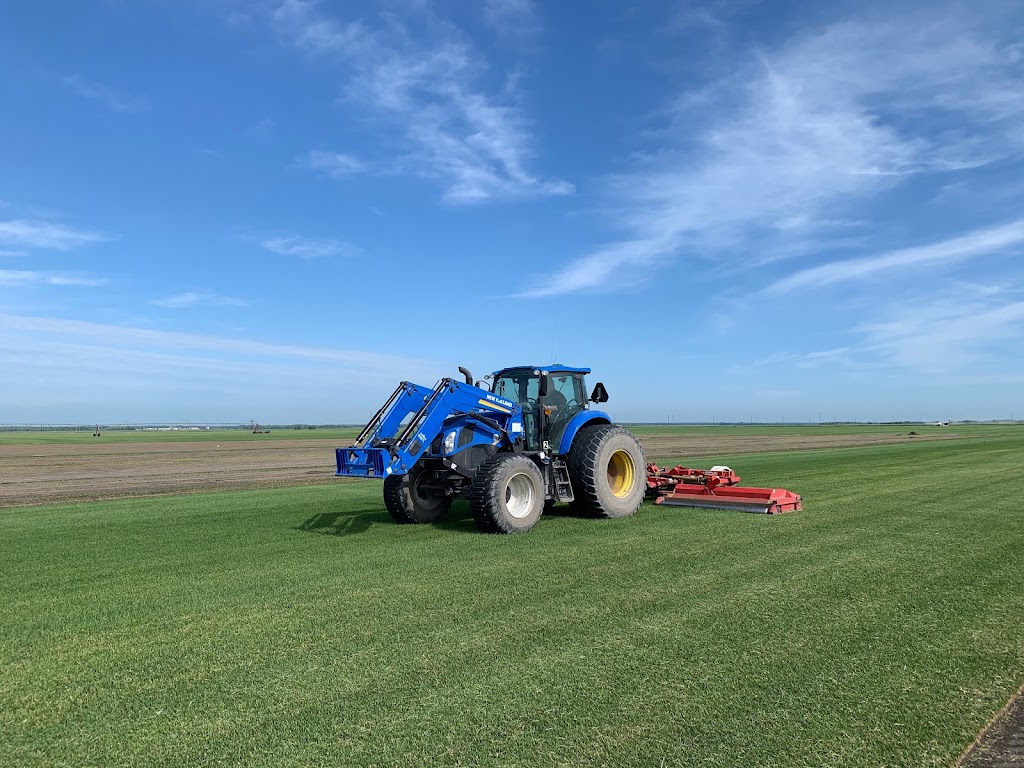 Lach Sod Farms | #84036 Rd 13E (corner of Road 84N & Road 13E), Balmoral, MB R0C 0H0, Canada | Phone: (855) 843-4222