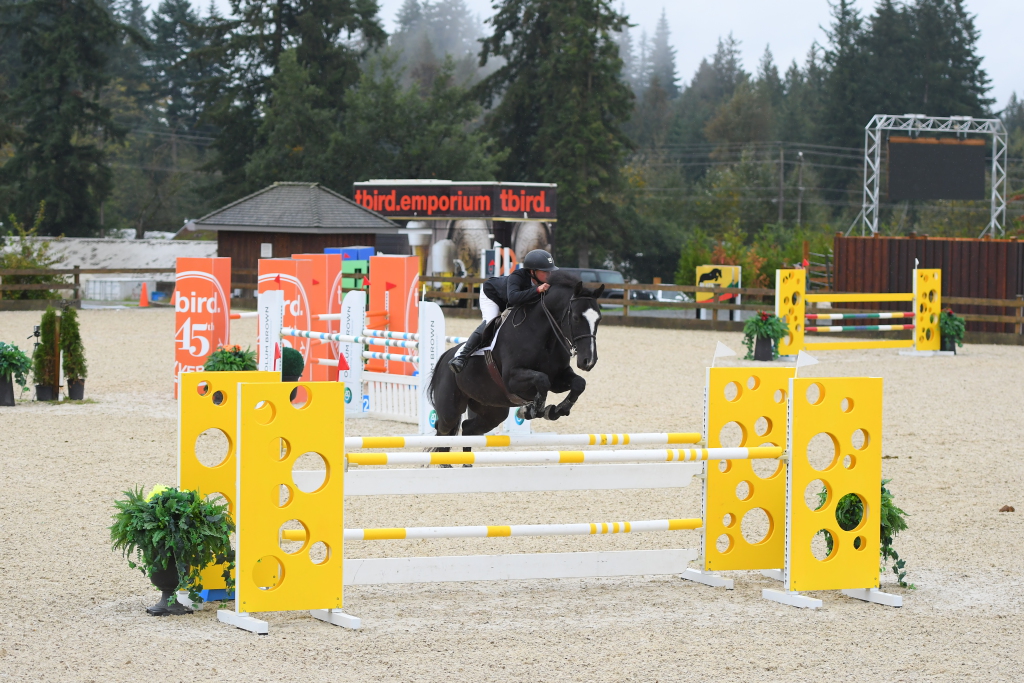 In Stride Equestrian Training | 2893 Bradner Rd, Abbotsford, BC V4X 1K6, Canada | Phone: (604) 607-3516