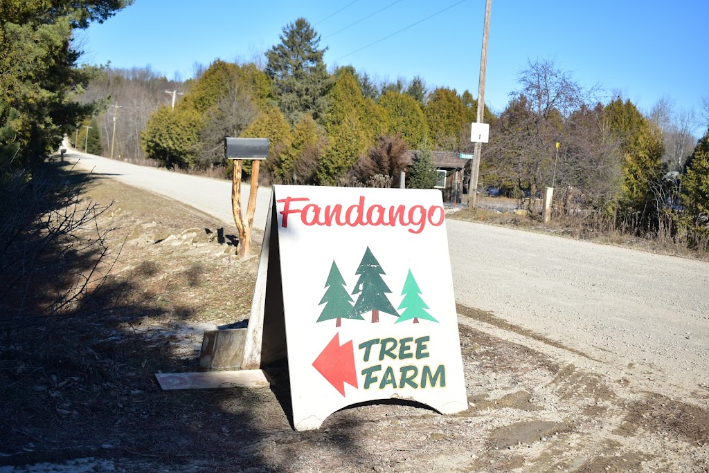 Fandango Christmas Tree Farm | 954208 7 Line EHS, Orangeville, ON L9W 6E9, Canada | Phone: (416) 970-5473