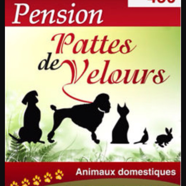 Pension Pattes de Velours | 450 QC-218, Saint-Gilles, QC G0S 2P0, Canada | Phone: (418) 888-4177