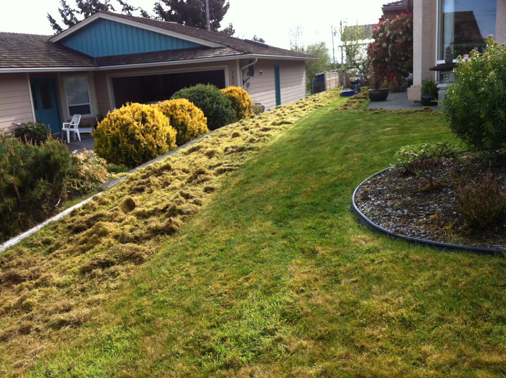 Watts Mowing Ltd. | 3124 Mexicana Rd, Nanaimo, BC V9T 2W7, Canada | Phone: (250) 816-1973