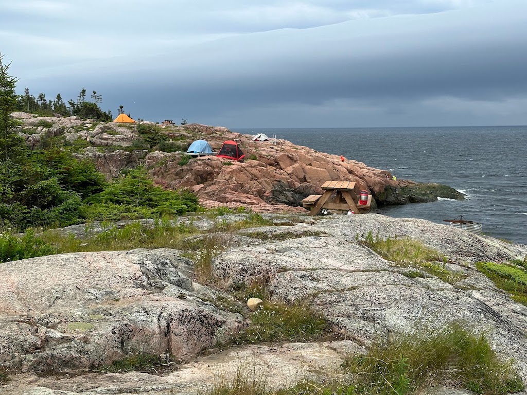 Mer et monde écotours | 20 Chem. Jalbert, Grandes-Bergeronnes, QC G0T 1G0, Canada | Phone: (418) 232-6779