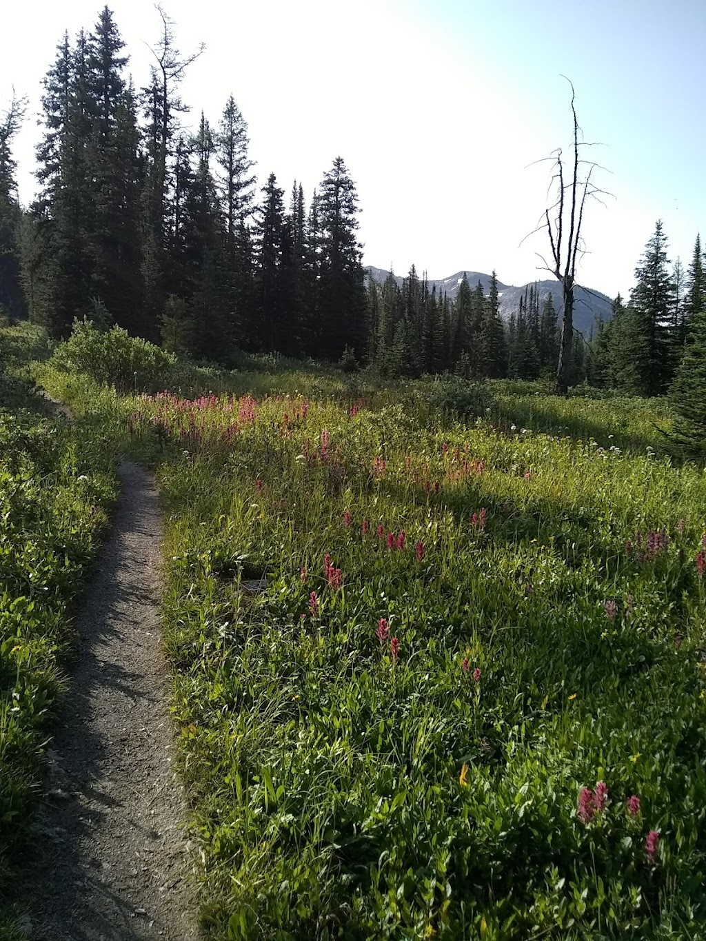 Egypt Lake Shelter | Redearth Pass Trail, Improvement District No. 9, AB T0L 2C0, Canada | Phone: (403) 762-1550