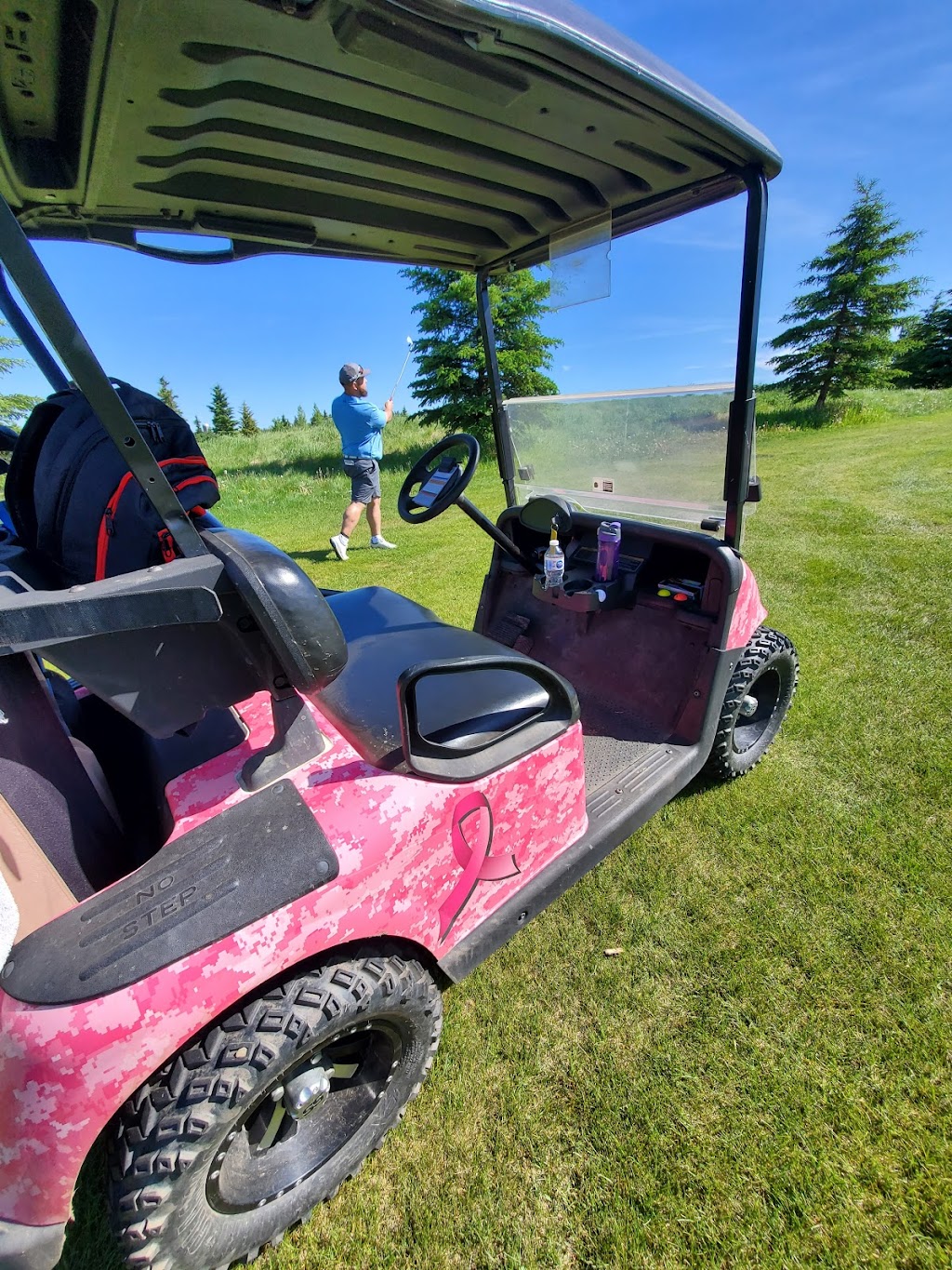 Country Side Golf Club | 51466 Range Rd 232, Sherwood Park, AB T8B 1L1, Canada | Phone: (780) 467-4653