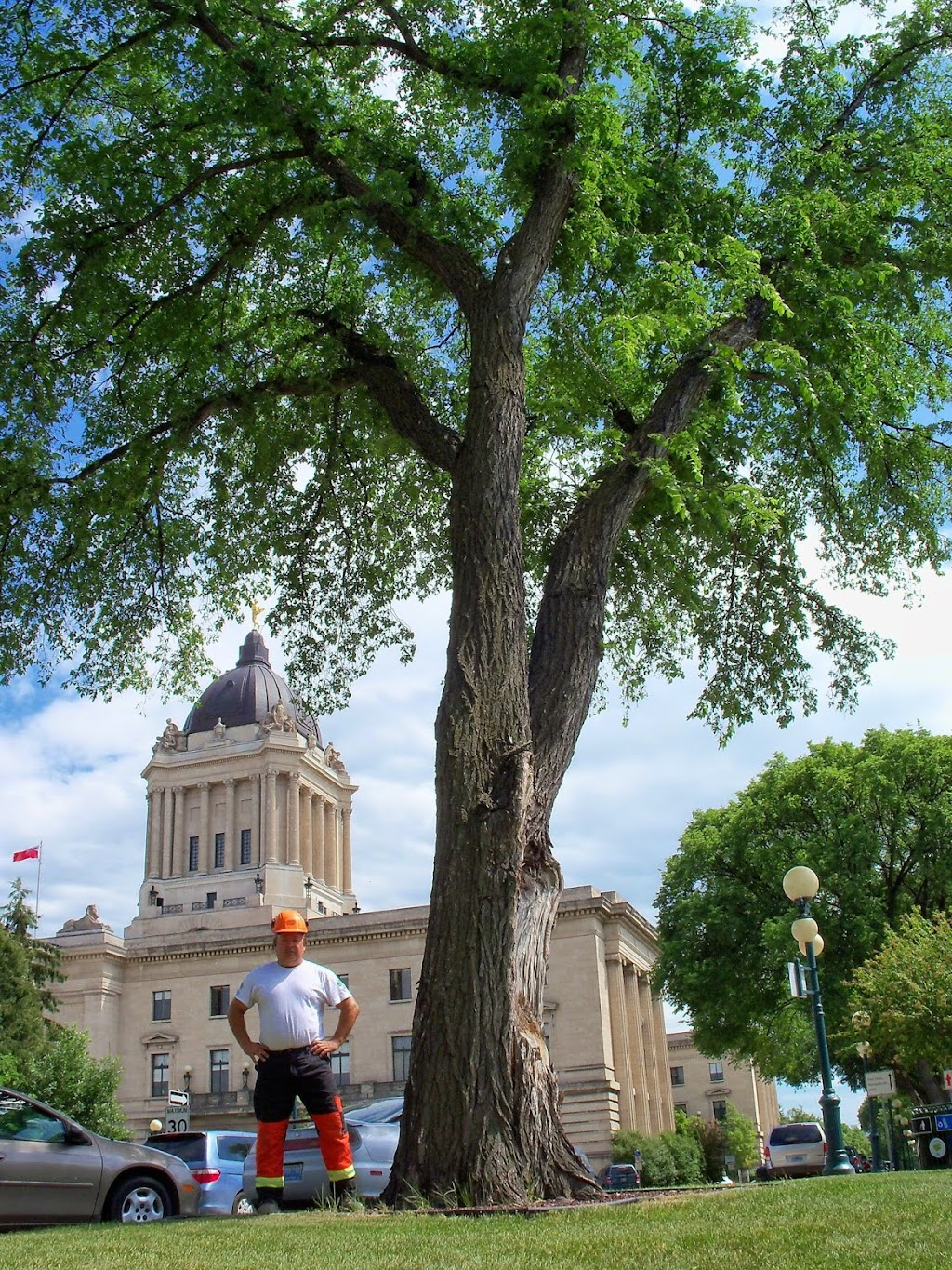 Stevens Tree Specialists | 36 Berwyn Bay, Winnipeg, MB R2C 2W2, Canada | Phone: (204) 955-3227