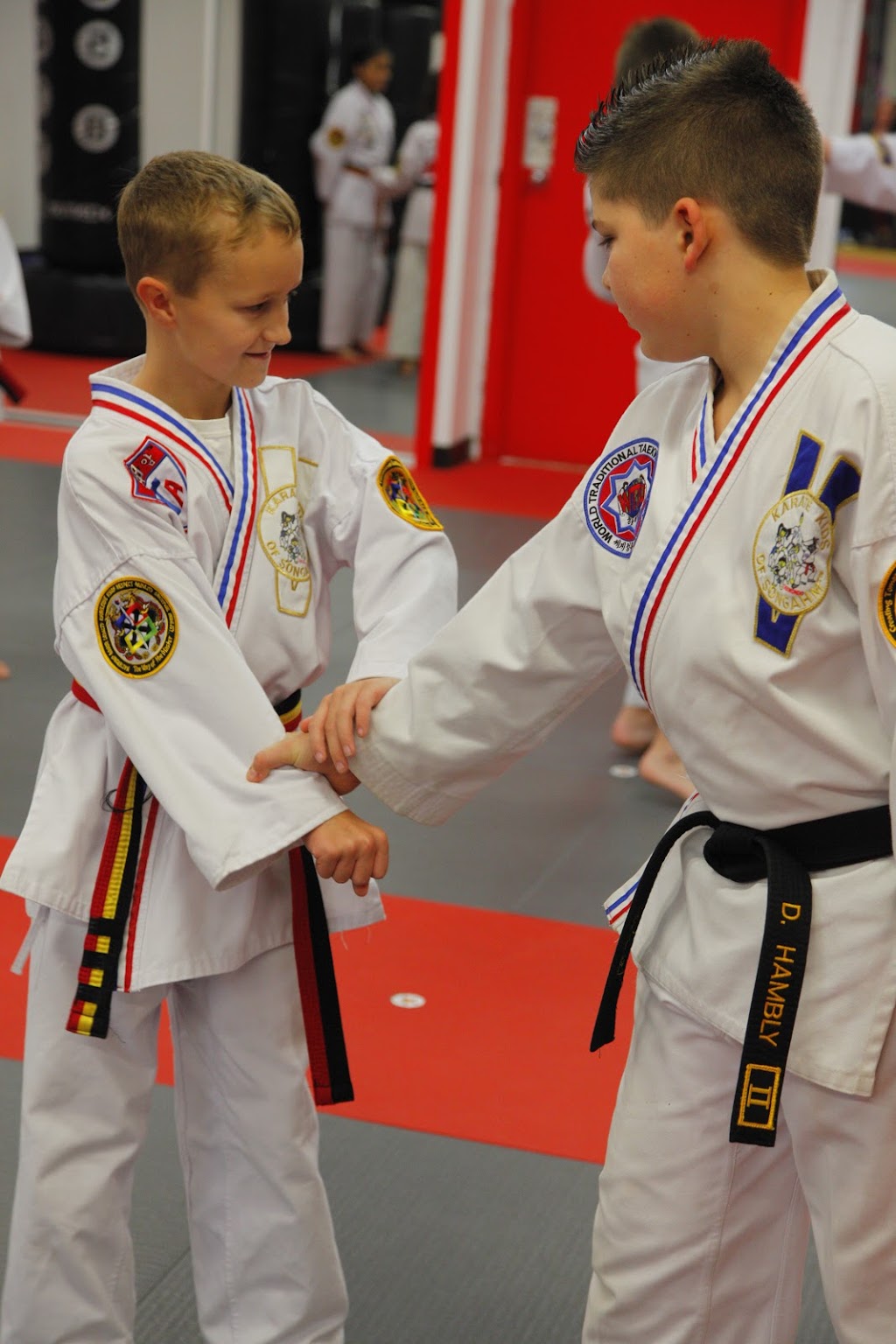 Karate for Kids | 22826 Dewdney Trunk Rd #5, Maple Ridge, BC V2X 7Y3, Canada | Phone: (604) 476-2500