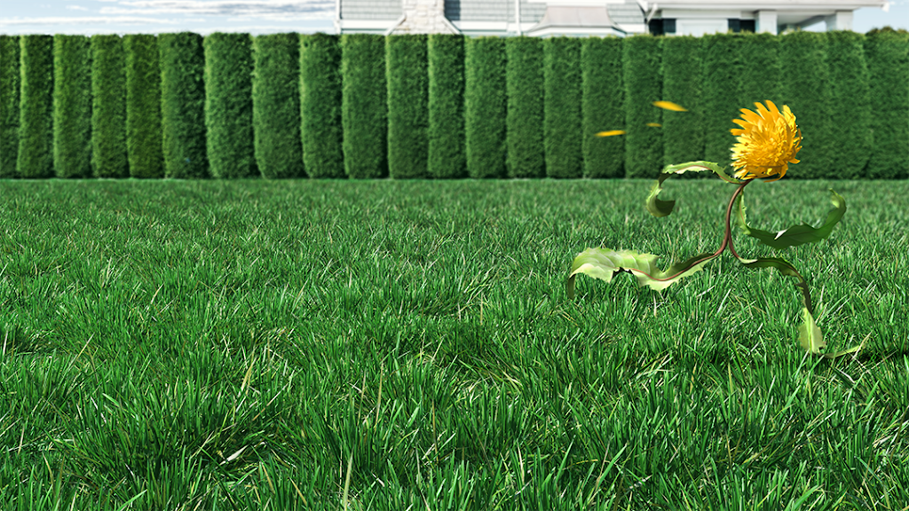 Green Drop Lawns Ltd. | 6660 Taylor Dr., Red Deer, AB T4P 1A3, Canada | Phone: (877) 647-3366