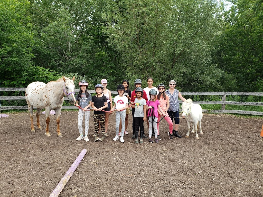 Horse Therapy Centre of Canada | 246 Webb Rd, Whitchurch-Stouffville, ON L4A 7X4, Canada | Phone: (647) 390-5397