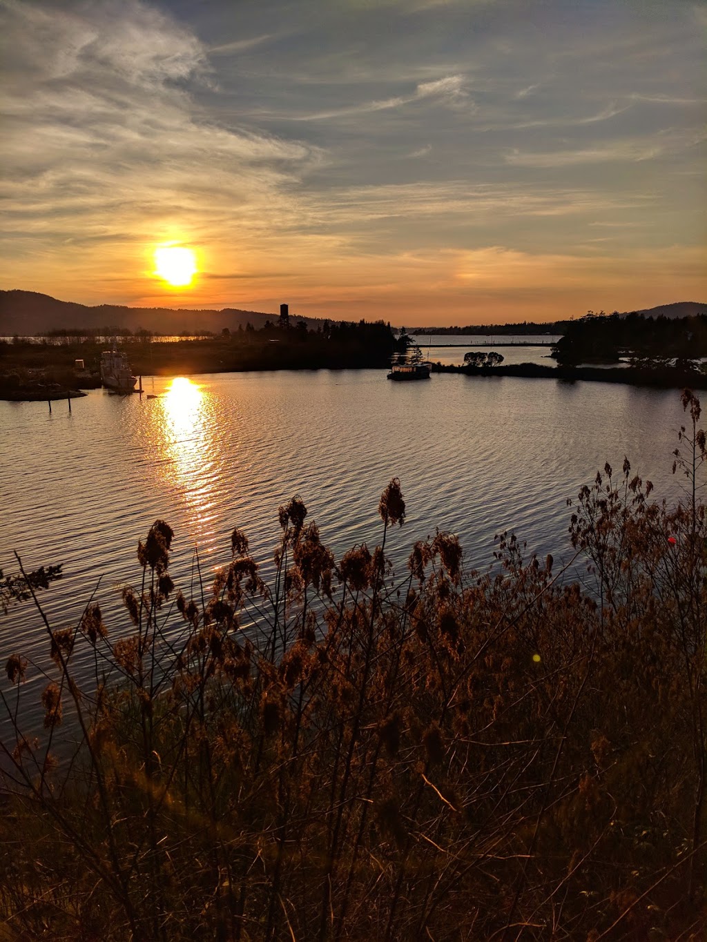 Coopers Cove Oyster Farm Ltd. | 6377 Belvista Pl, Sooke, BC V9Z 0X3, Canada | Phone: (250) 642-3153