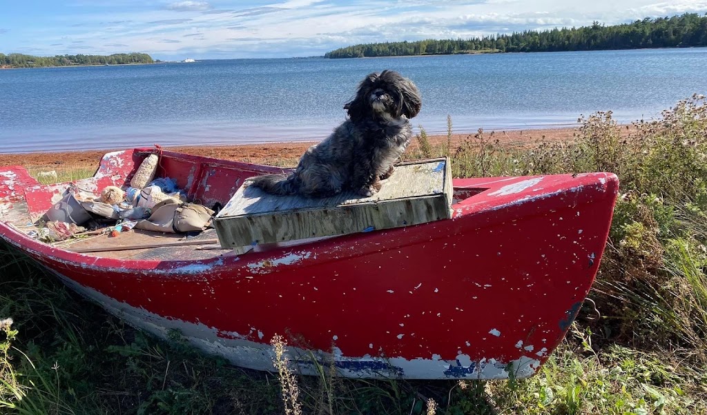 Brudenell River Provincial Park | Cardigan, PE C0A 1G0, Canada | Phone: (800) 463-4734