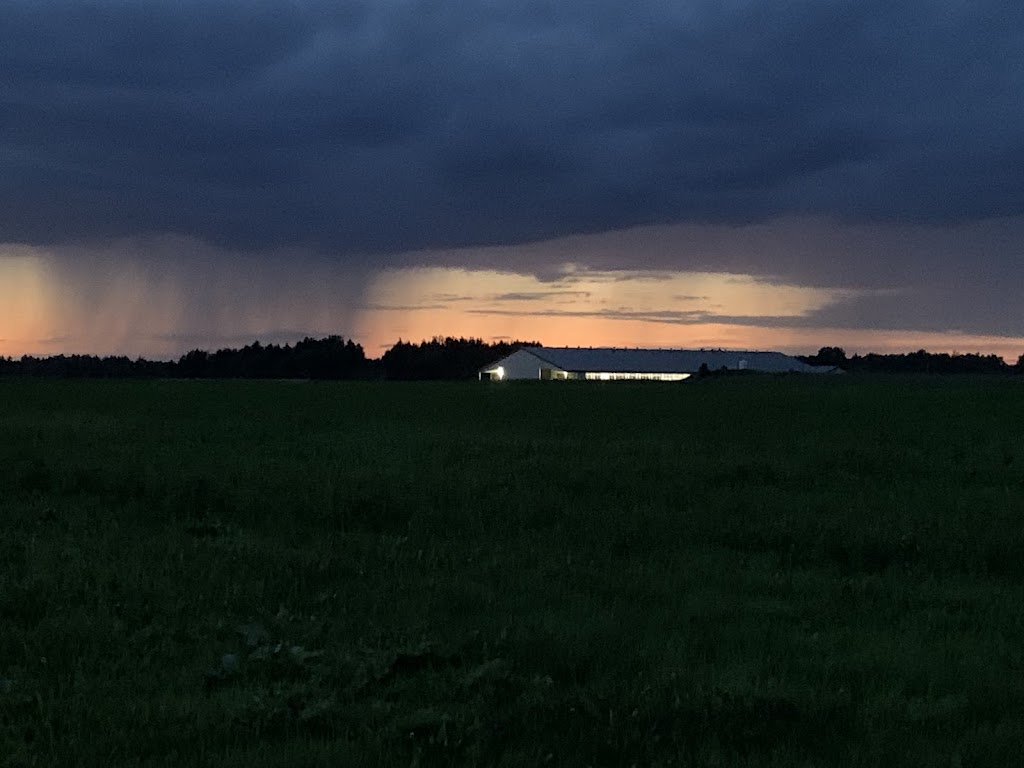 Ferme Benoît et Diane Gilbert et fils | 587 Rue Principale, Saint-Henri-de-Taillon, QC G0W 2X0, Canada | Phone: (418) 487-4688