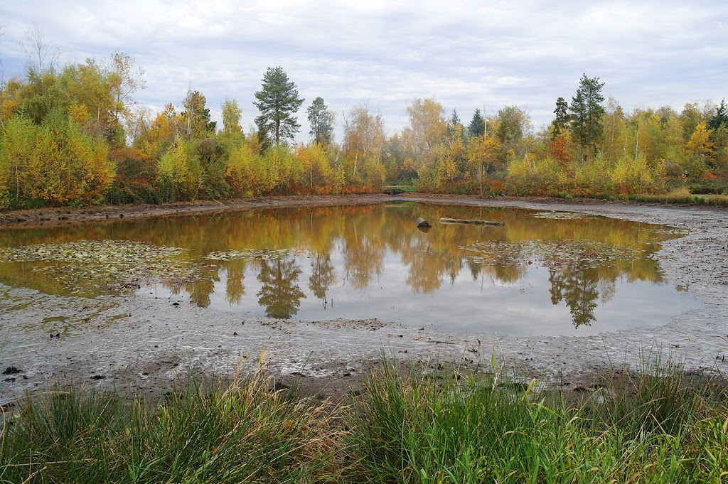 Garden City Community Park and Arboretum | 6620 Garden City Rd, Richmond, BC V6Y 1T6, Canada | Phone: (604) 276-4000