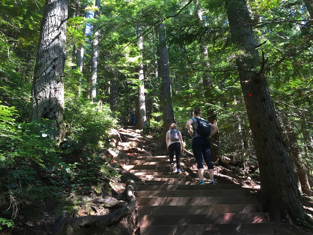 Grouse Grind Trail | 6400 Nancy Greene Way, North Vancouver, BC V7R 4K9, Canada | Phone: (604) 224-5739