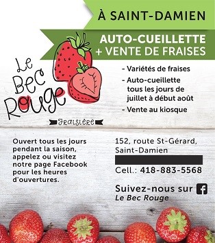 Fraisière le bec rouge | 152 Rte Saint-Gérard, Saint-Damien-de-Buckland, QC G0R 2Y0, Canada | Phone: (418) 883-5568