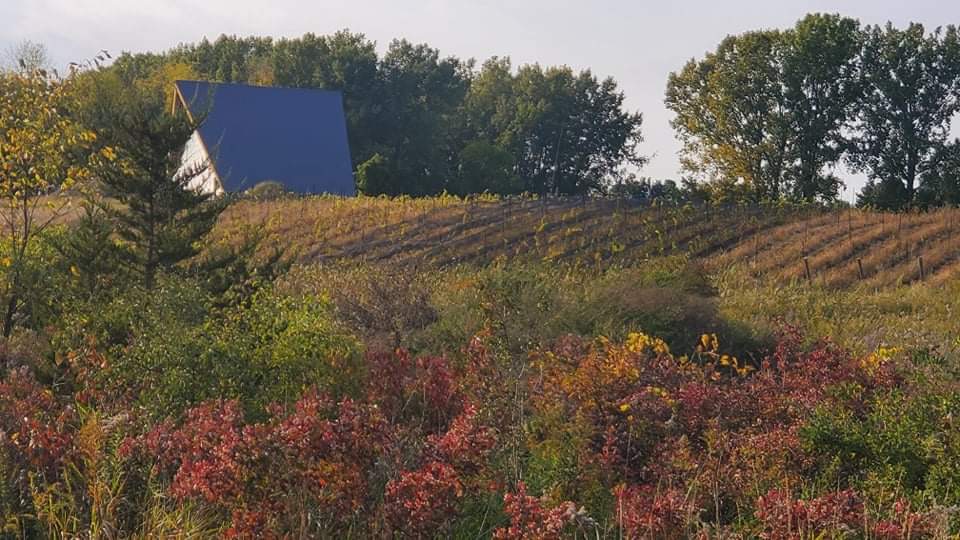 Dragons Reach Estate Vineyard | Unnamed Road, Greater Napanee, ON K0H 1G0, Canada | Phone: (416) 357-6791