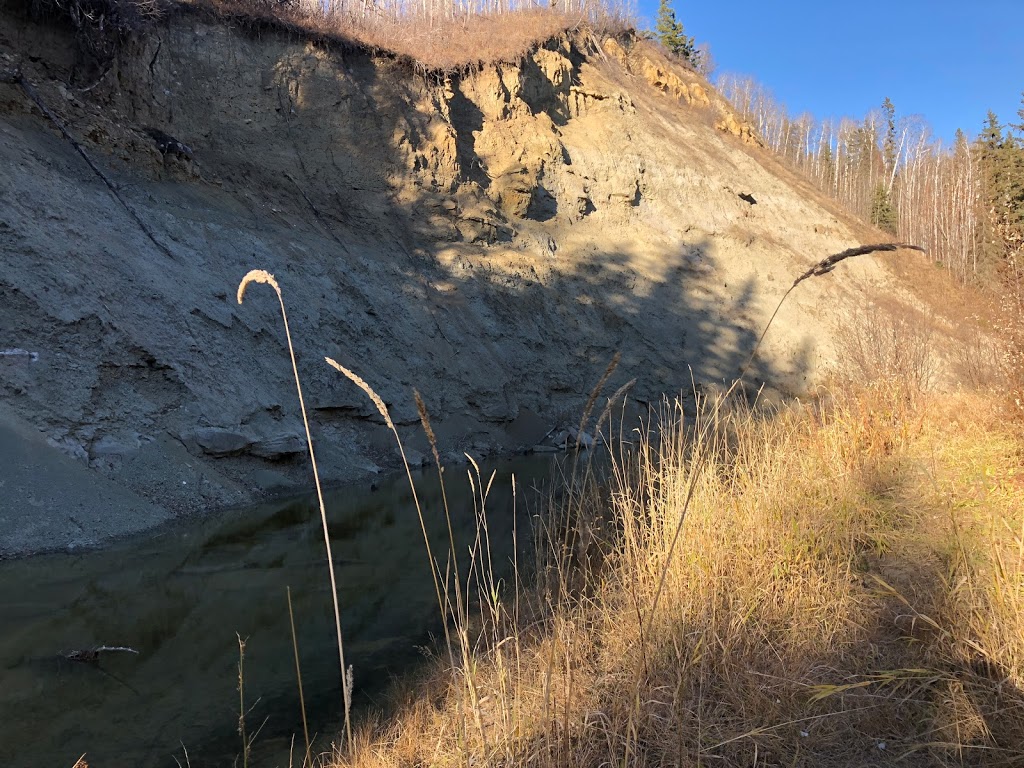 Creek-Lands Foot Trails | Township Rd 502A, Thorsby, AB T0C 2P0, Canada