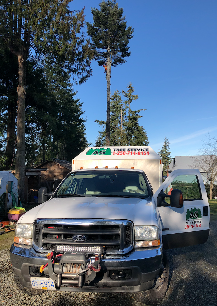 AG Tree Service | 775 Barclay Crescent, Parksville, BC V9P 1Z3, Canada | Phone: (250) 714-8454