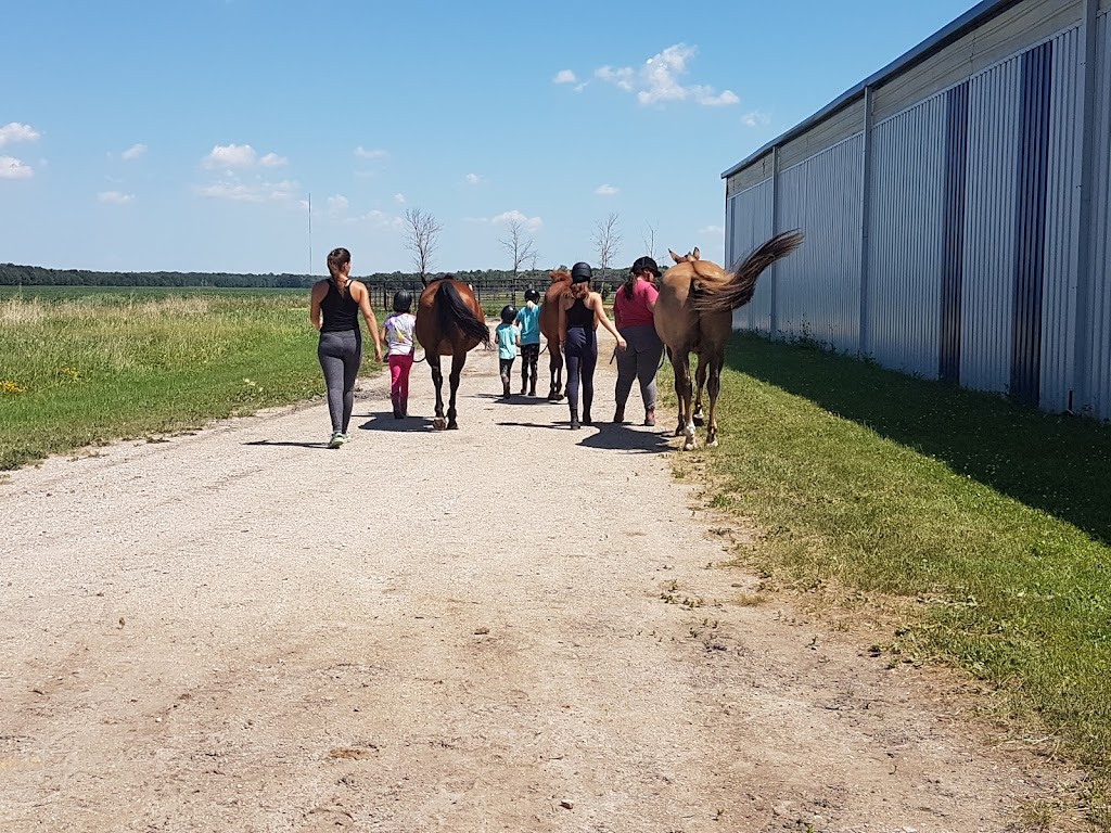 Sagehill Stables | 4180 Waverley St, Winnipeg, MB R3V 1L5, Canada | Phone: (800) 217-4184