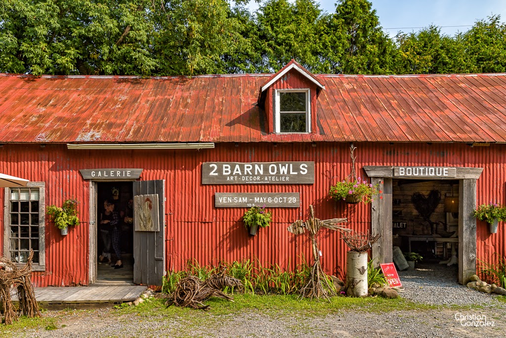 2 Barn Owls | 420 Main Road, Hudson, QC J0P 1H0, Canada | Phone: (514) 795-4361