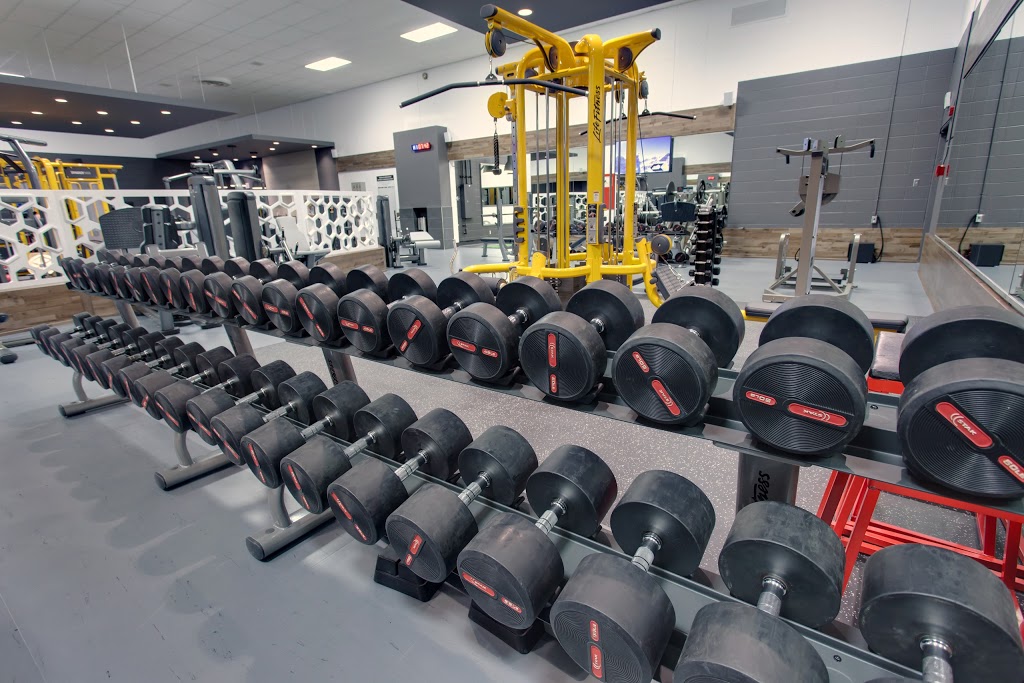 Gym Sports Montreal | Local 1.04, 1000 Avenue Émile-Journault, Montreal, QC H2M 2E7, Canada | Phone: (514) 872-0505