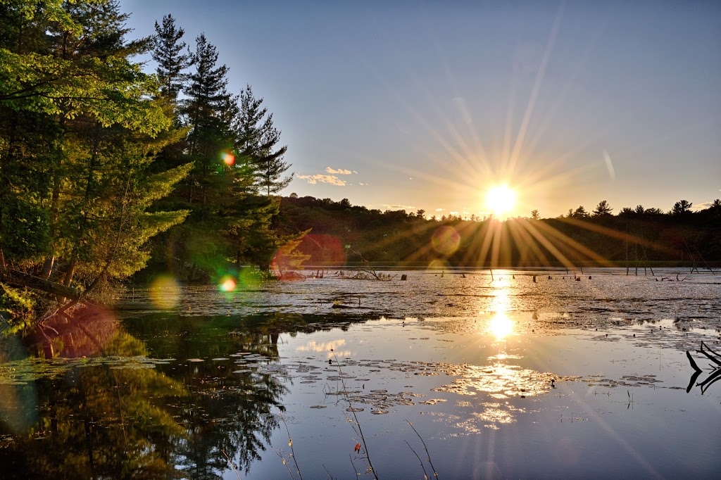 Frontenac Provincial Park | Kingsford Lake Dam Rd, Perth Road, ON K0H 2L0, Canada