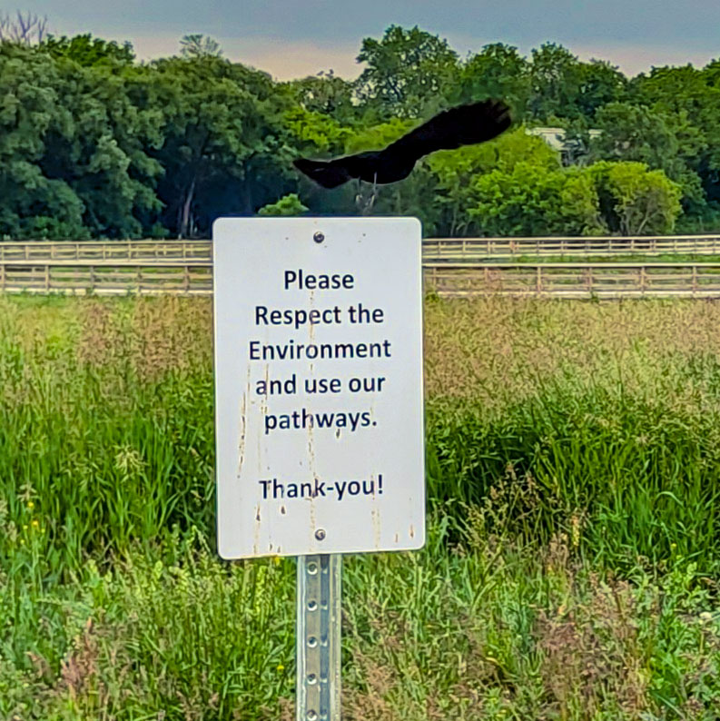 Mike Schout Wetlands Preserve | 28 Smiths Creek Dr, New Hamburg, ON N3A 0B3, Canada | Phone: (519) 634-8444