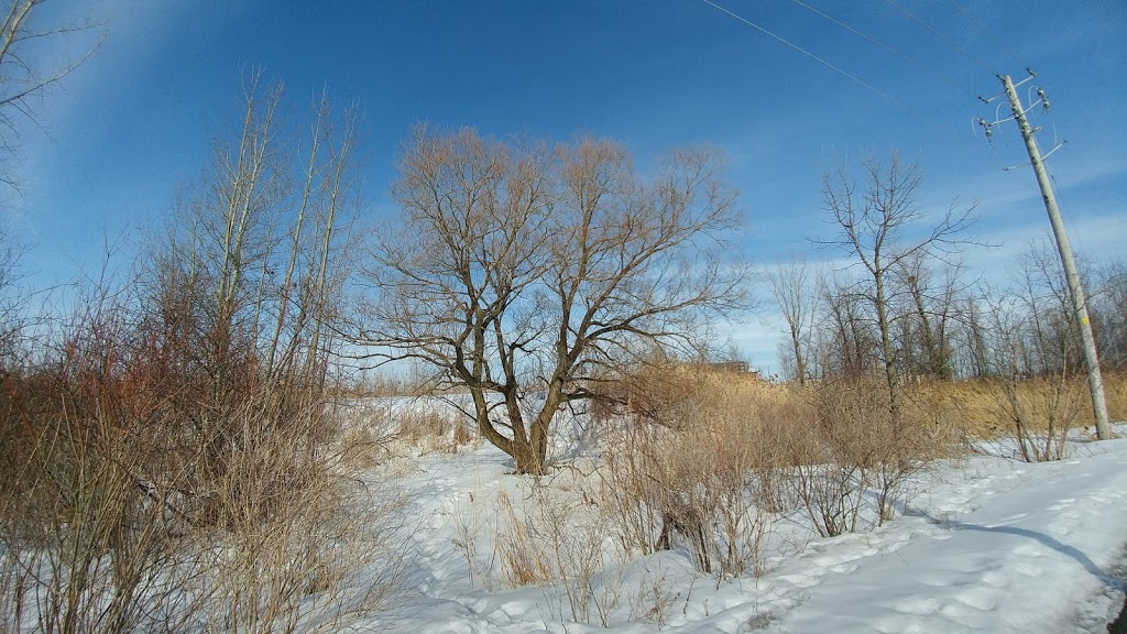 Parc Champlain | Candiac, QC J5R 3N3, Canada