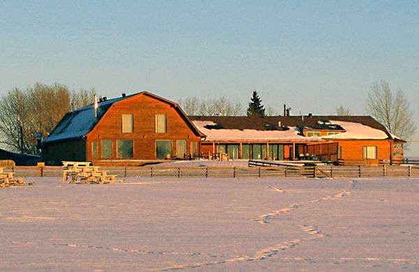 Pasu Farm | 29434 Range Road 23, Mountain View County, AB T0M 0N0, Canada | Phone: (403) 337-2800