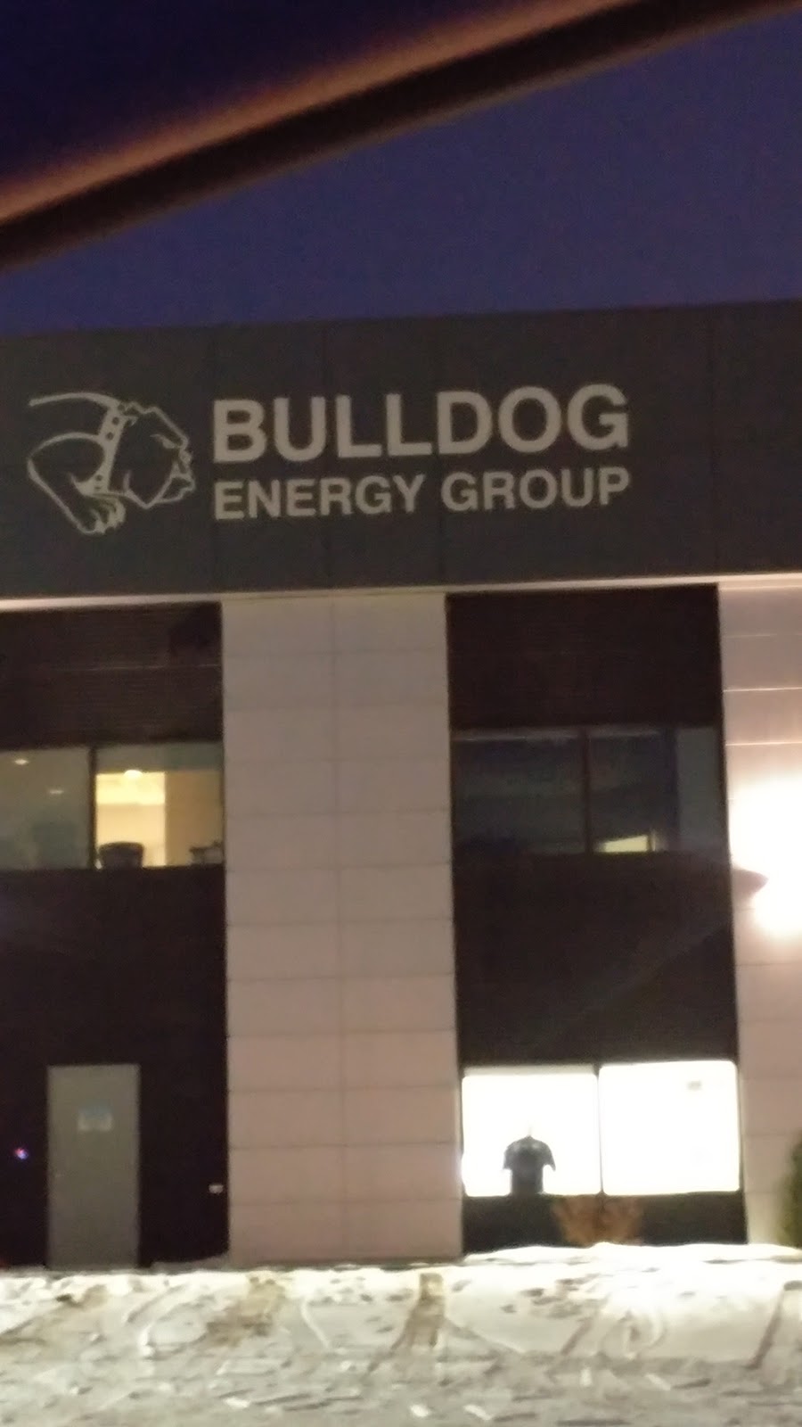 Bulldog Energy Group | 2906 5 St, Nisku, AB T9E 0H1, Canada | Phone: (780) 955-7460