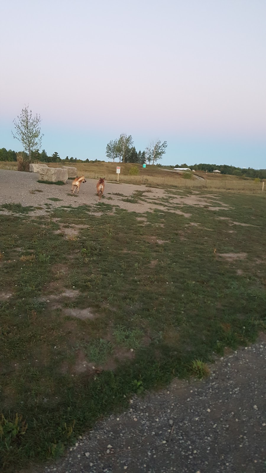 North Whitby Off-Leash Dog Park | 5001-, 5617 Cochrane St, Whitby, ON L1P 2A3, Canada