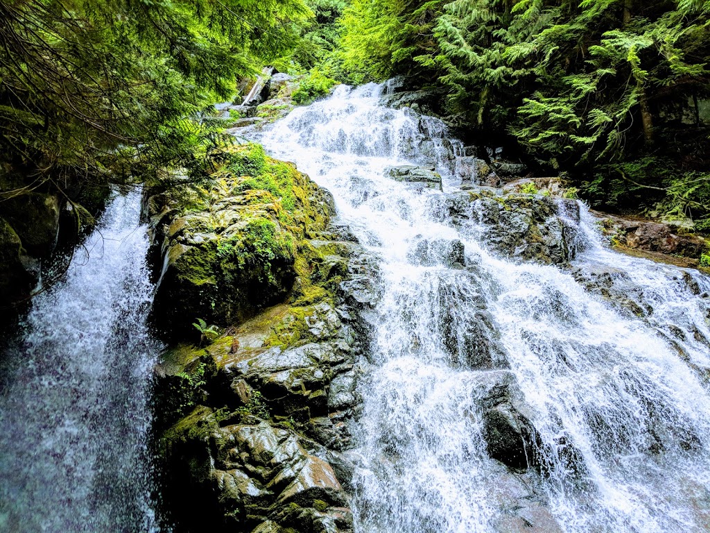 Kennedy Falls | North Vancouver, BC V7K 3B2, Canada