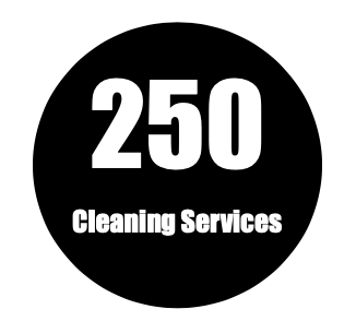 250 Cleaning Services | 3593A Anderson Ave #106A, Port Alberni, BC V9Y 0E3, Canada | Phone: (778) 829-0800
