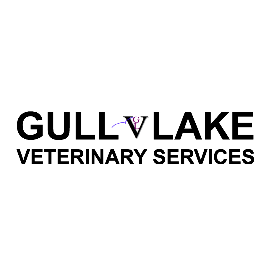 Gull Lake Veterinary Services | Lacombe County, AB T4L 2N3, Canada | Phone: (403) 782-0354