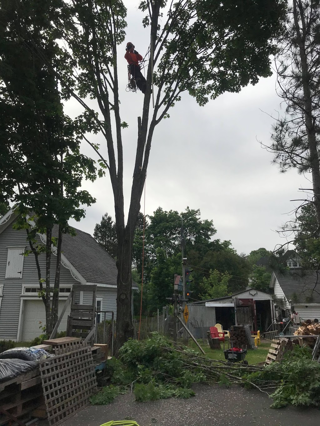 Silvacare Tree Service | 2481 Wyvern Rd, River Philip, NS B0M 1V0, Canada | Phone: (902) 906-5408
