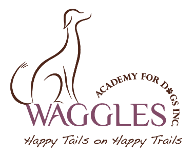 Waggles Academy for Dogs Inc. | 37475 C & E Trail, Red Deer, AB T4N 5E4, Canada | Phone: (403) 505-6617