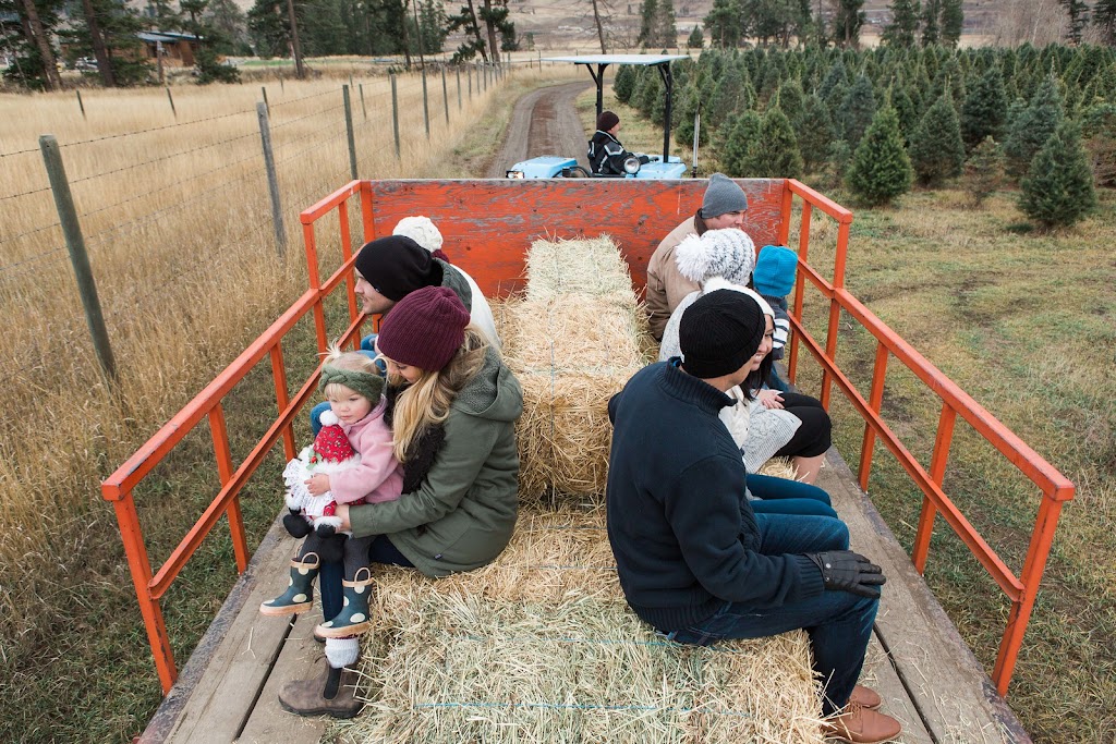 Woodward Christmas Tree Farm | 5505 Westsyde Rd, Kamloops, BC V2B 8N5, Canada | Phone: (250) 579-8739