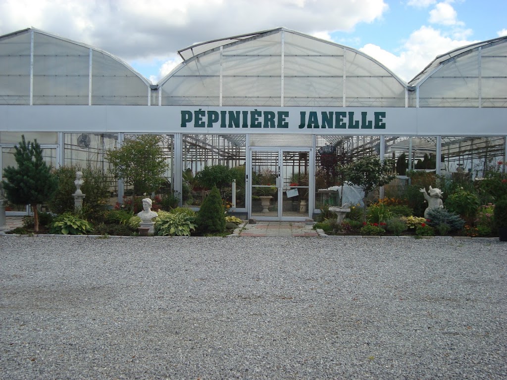 Pépinière Janelle et fils inc | 161 Chemin Yamaska RR 1, Saint-Germain-de-Grantham, QC J0C 1K0, Canada | Phone: (819) 395-4314