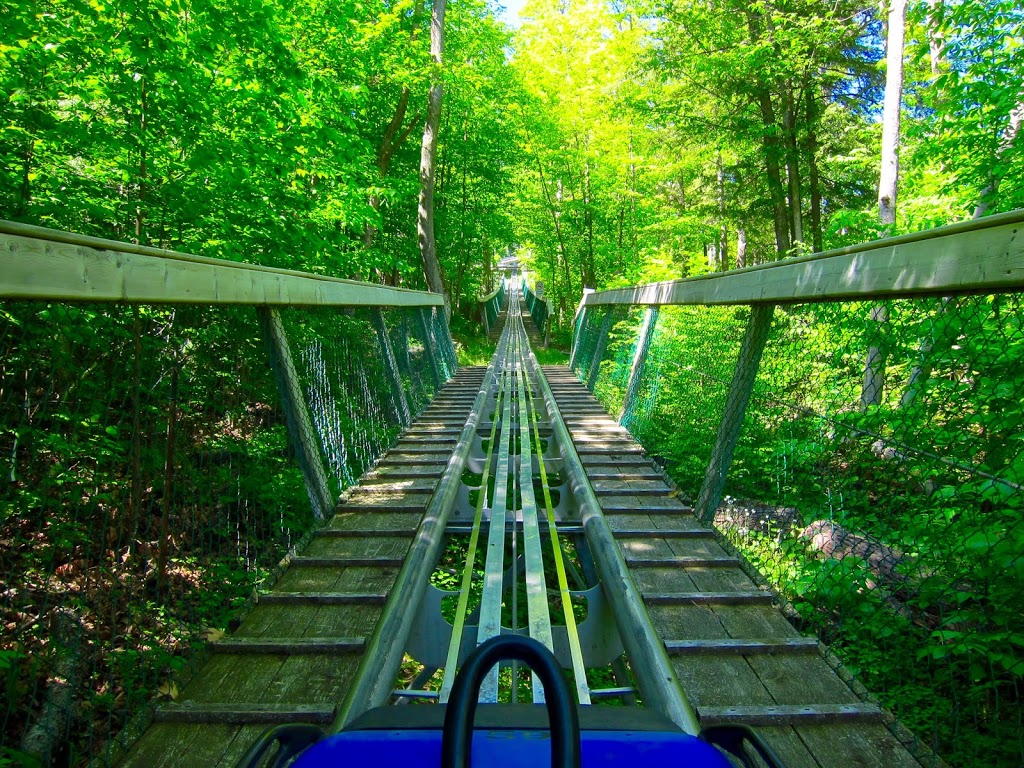 Ridge Runner Mountain Coaster | 150 Jozo Weider Blvd Unit AY2, The Blue Mountains, ON L9Y 0P7, Canada | Phone: (833) 583-2583