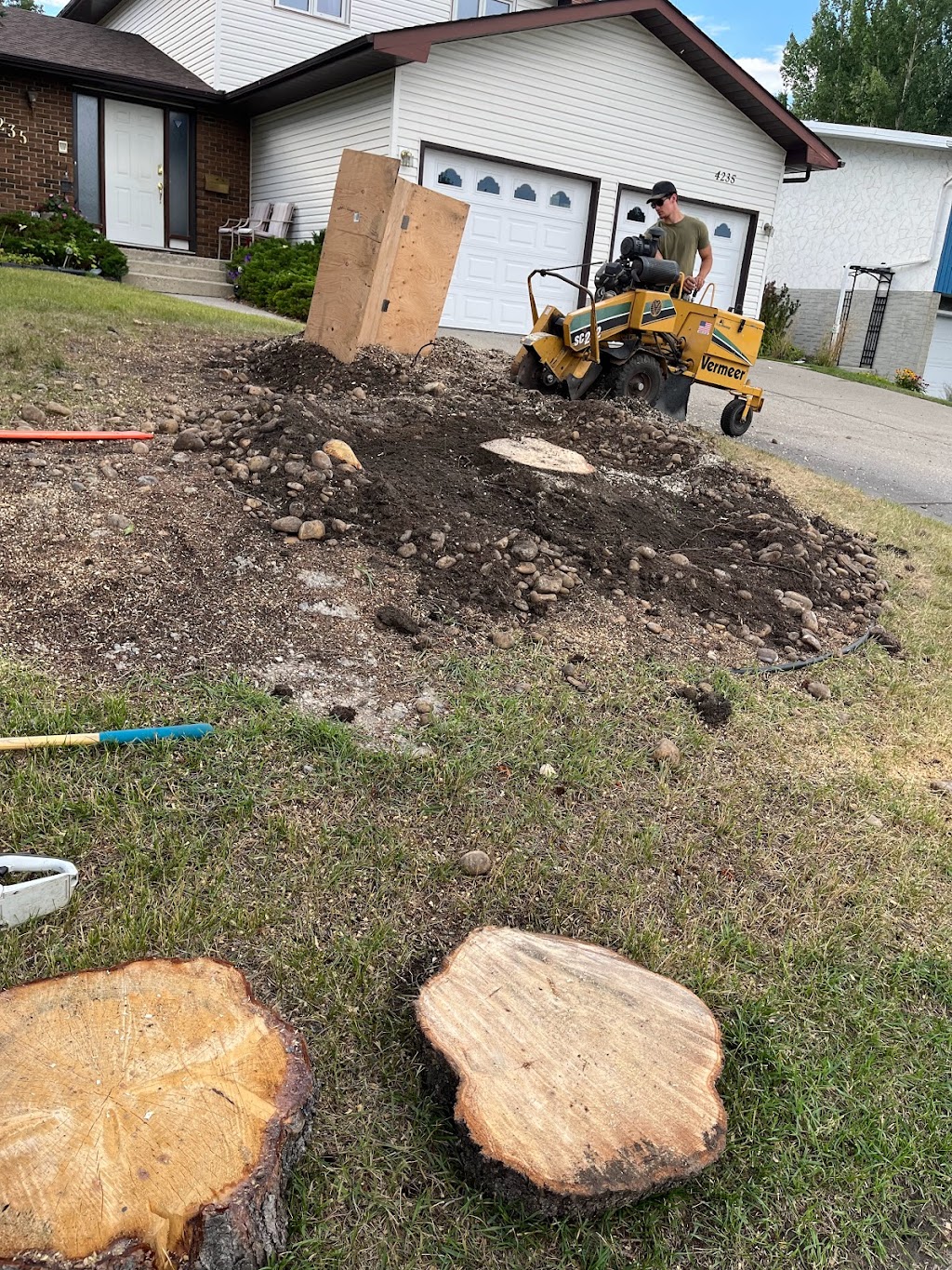 Stump Grinding Tree Service | 167 Edgemont Estates Dr NW, Calgary, AB T3A 2M4, Canada | Phone: (587) 586-1866