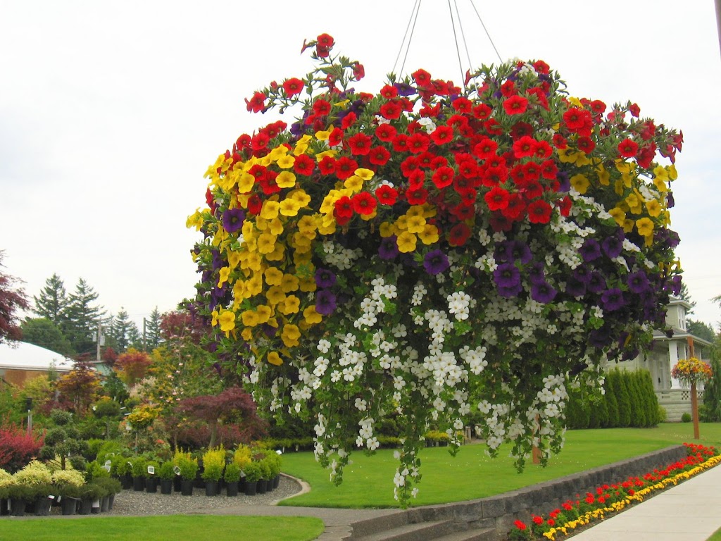 Vander Giessen Nursery | 401 E Grover St, Lynden, WA 98264, USA | Phone: (360) 354-3097