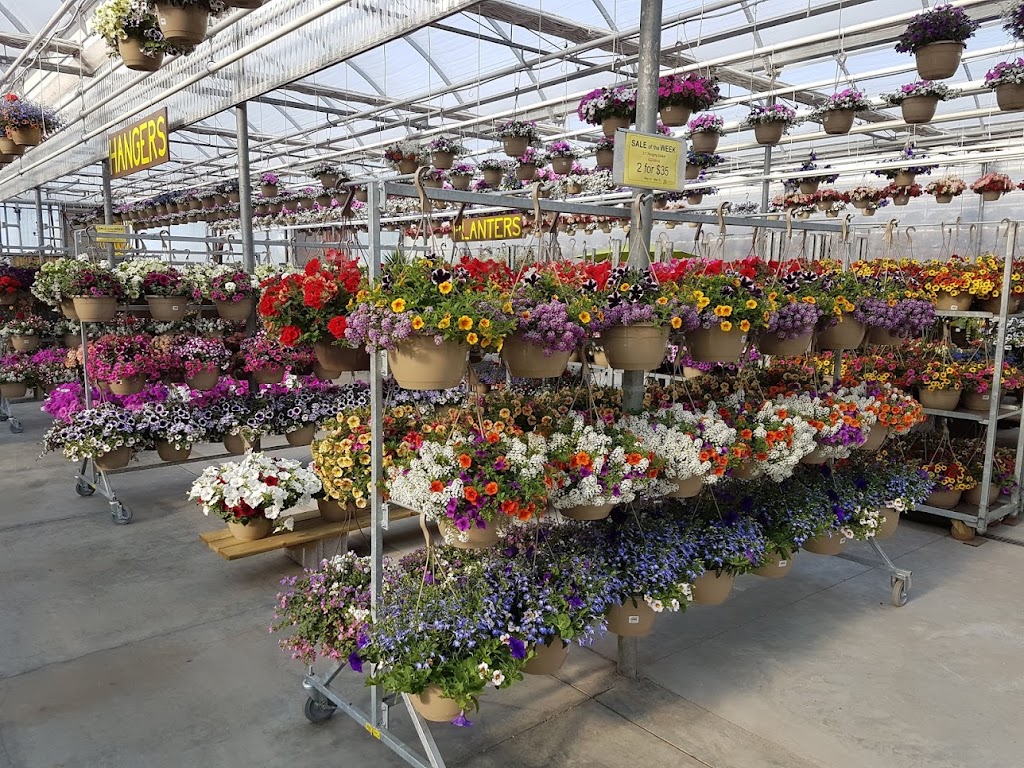 Aspen Greenhouses | 1-40032, Range Rd 283, AB T4M 0X7, Canada | Phone: (403) 885-4516