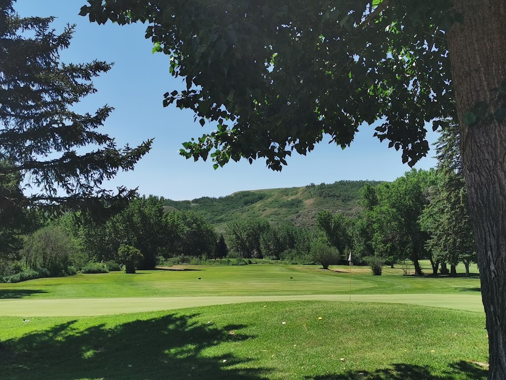 Dinosaur Trail Golf & Country Club | 6455 N Dinosaur Trail, Drumheller, AB T0J 0Y0, Canada | Phone: (403) 823-5622