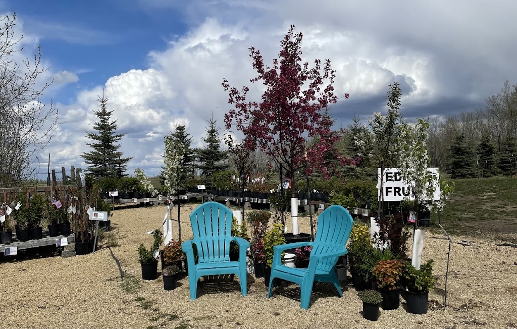 Sherwood Nurseries | 22040 Township Rd 522, Sherwood Park, AB T8E 1G2, Canada | Phone: (587) 409-4442